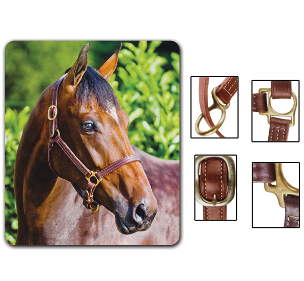 Horse Riding Halters